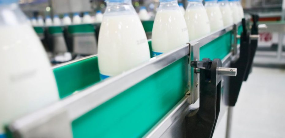 Какие трудности поджидают украинских молочников в Китае?