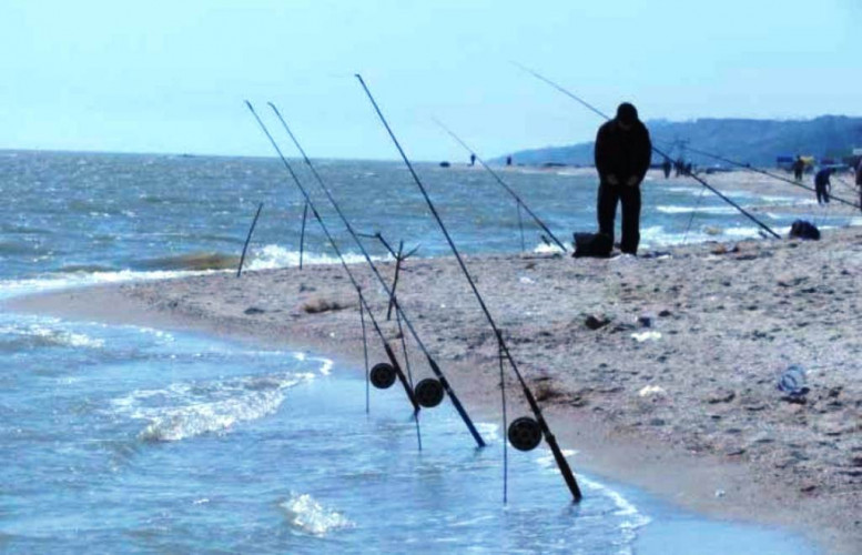 Рыбалка с пирса на черном море. Что можно ловить на черном море. Рыболовство в черном море. Ставрида черноморская. Барабулька черноморская.