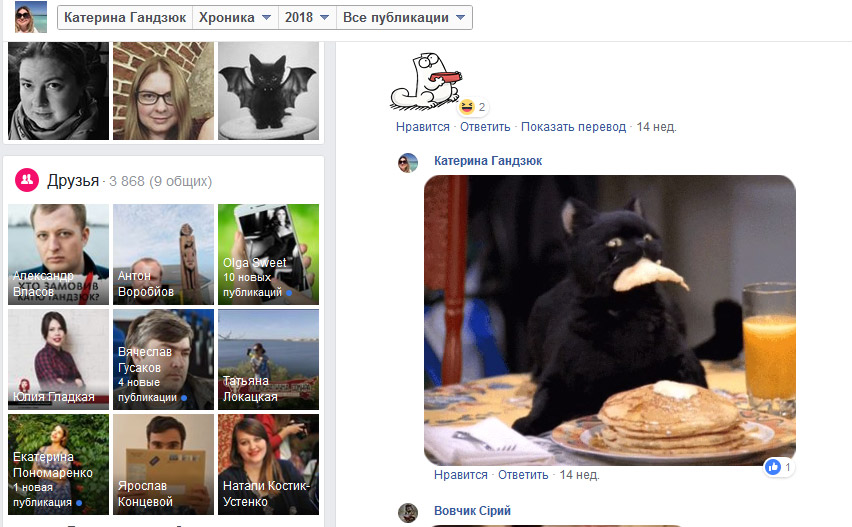 Скриншот фрагмента страницы Катерины Гандзюк в социальной сети Facebook