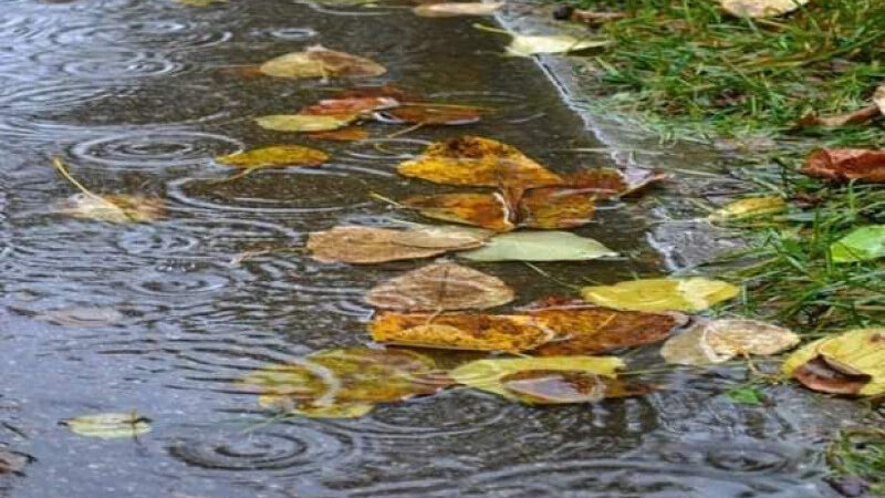 На початку жовтня на території Херсонської області очікуємо різку зміну погодних умоd