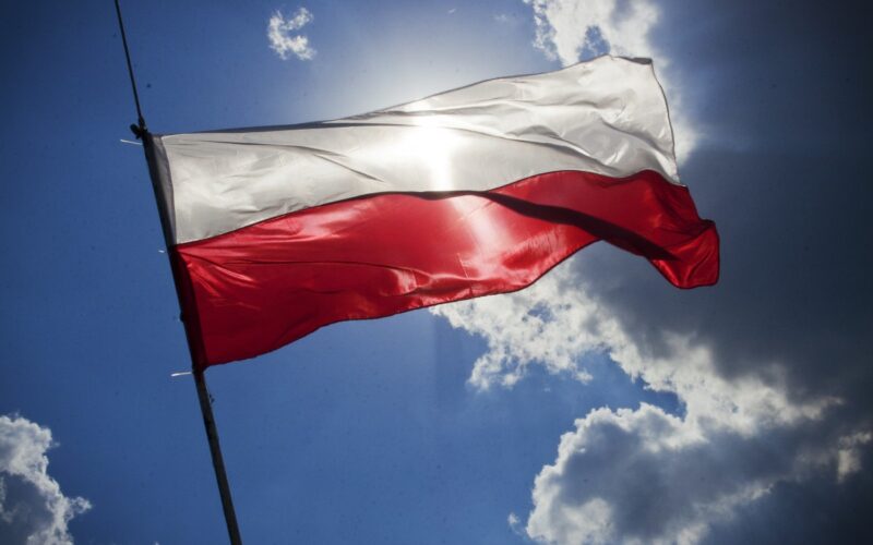 Трудоустройство в Польше для женщин – популярные вакансии