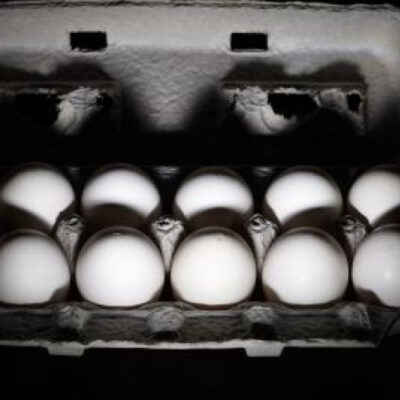 В Україні будуть по-новому продавати курячі яйця: як зміняться вимоги