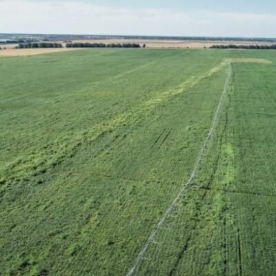 Через онлайн аукціони в травні відбулось понад 500 земельних торгів