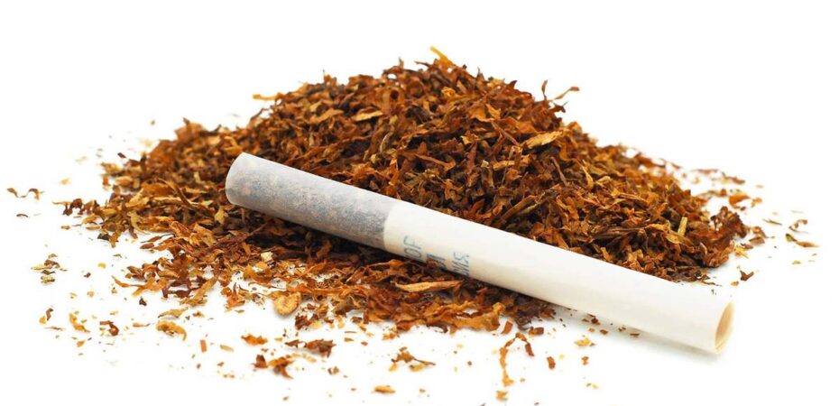 Как новичку подобрать идеальный табак для самокруток: проверенные советы