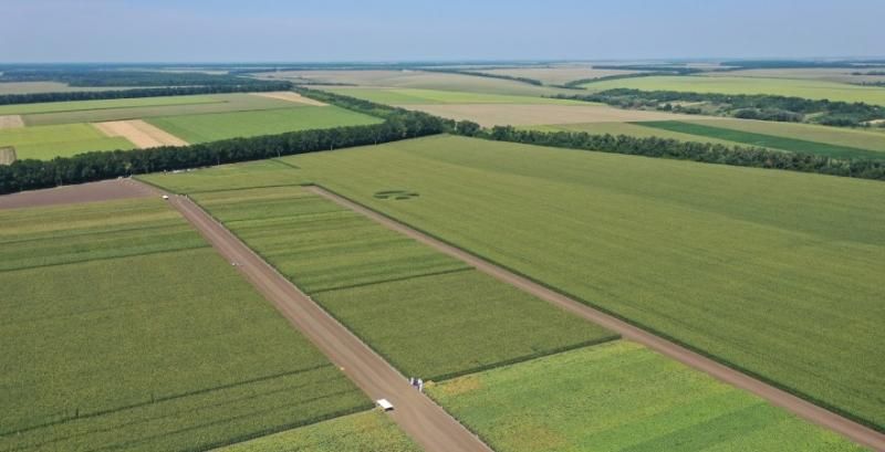 В Україні приблизно 65 тисяч громадян не оформили земельні паї