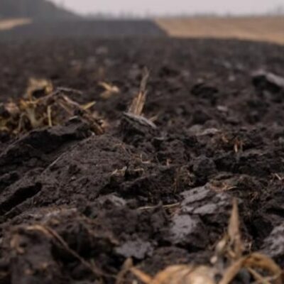 В Україні затвердили Порядок моніторингу земель і ґрунтів