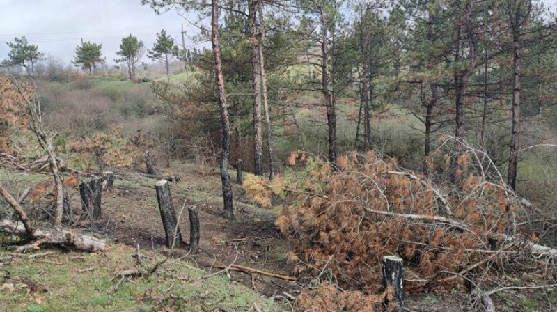 На Херсонщині у національному парку “Кам’янська Січ” розміновано близько 3 гектарів землі