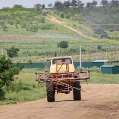 На деокупованій Херсонщині засіяні площі у 2024 році втричі перевищують тогорічні