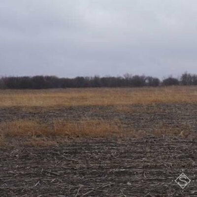 Із початку повномасштабного вторгнення Україна втратила 20,5% сільськогосподарських земель