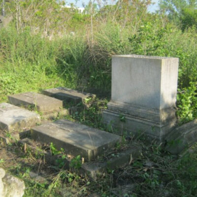Родинний склеп французьких новаторів вівчарства знайшли на старому херсонському кладовищі