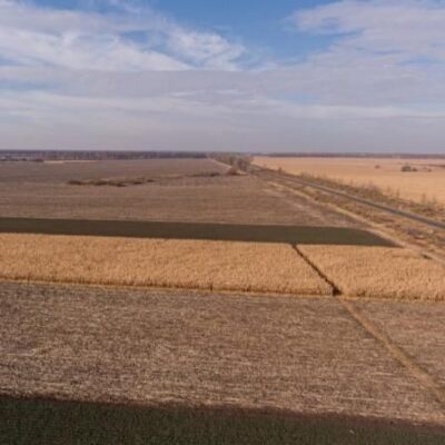 Колишні працівники Держгеокадастру розікрали 500 га земель на Дніпропетровщині