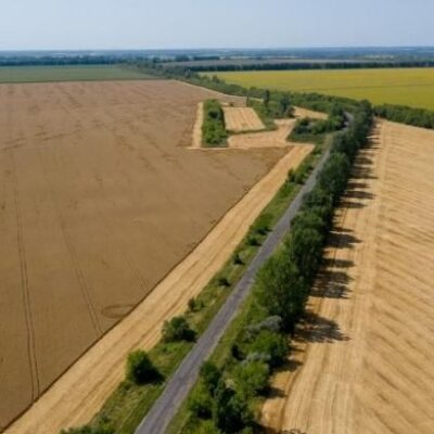 Взаємодії між державою та громадянами у сфері ведення Держземкадастру стане чіткішою