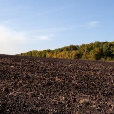 Оренда землі: нюанси безпечного укладання та пролонгації договорів
