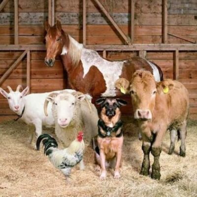 На Херсонщине продолжается реализация программы поддержки сельского хозяйства