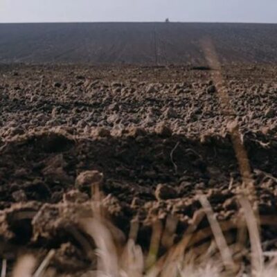 Несмотря на обстрелы, аграрии Херсонщины проводят посев озимых культур