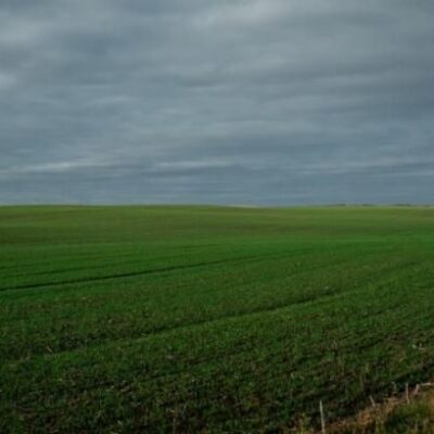 Оприлюднено середні ціни за оренду земельних паїв у регіонах